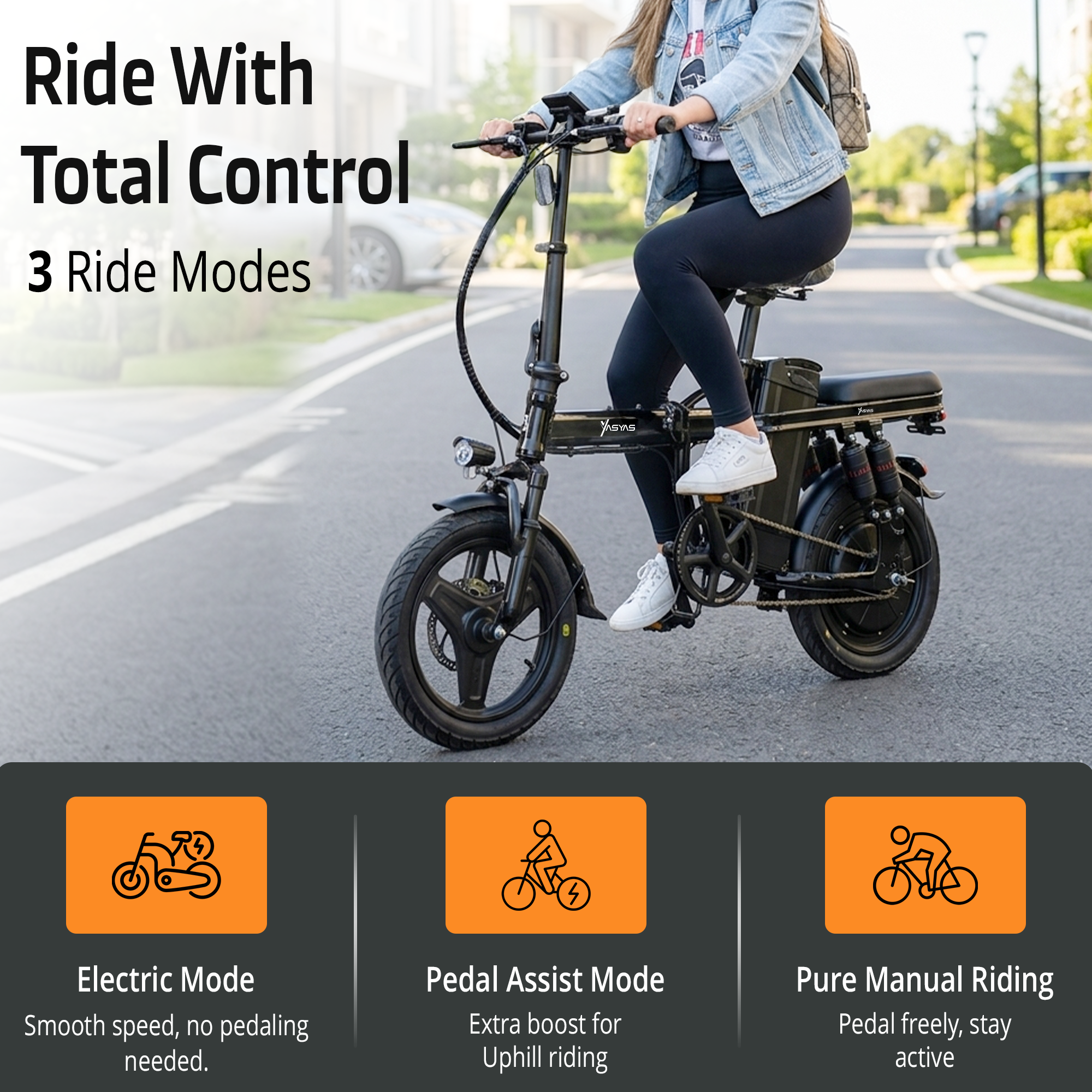 Yasyas Little Beast X Folding Electric Bike, 250W Powerful Motor, 48V 12A Removable Battery