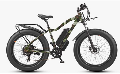 Eurobike Smart E-Bike, Warrior Electric Bike