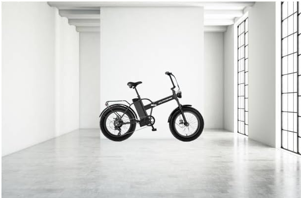 48V Battery Electric Bike, Lightweight Electric Bike