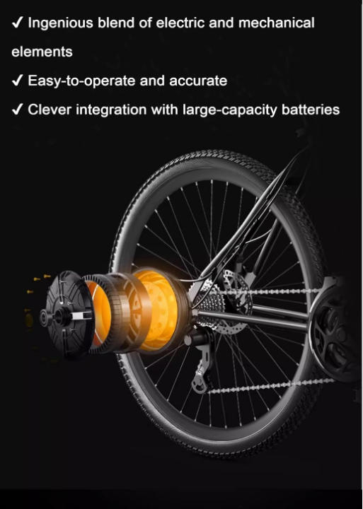 Off-Road Electric Bike