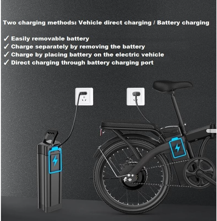 48V Battery Electric Bike, Lightweight Electric Bike