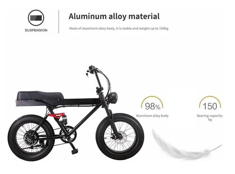 48V Battery Bike, 250W Motor E-Bike