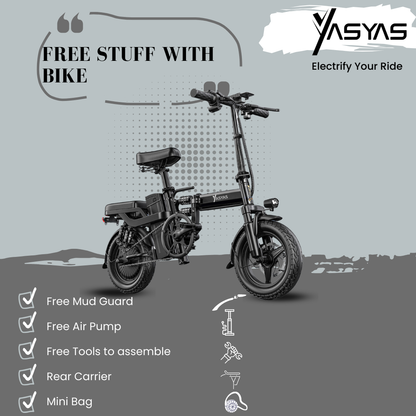 Yasyas Flying Pigeon Electric Bike