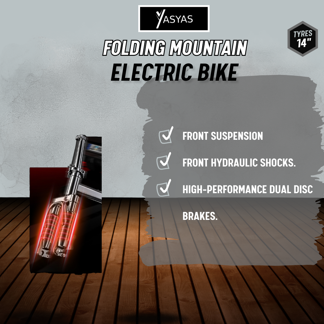 Yasyas Little Beast 14" Electric Bike 48V 15A