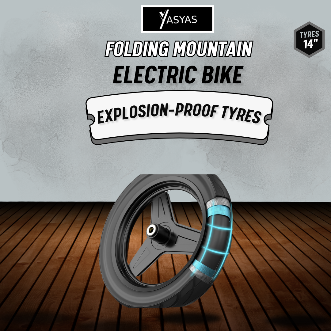 Yasyas Little Beast 14" Electric Bike 48V 15A